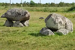 Fröböke-Dolmen auf Vi alvar