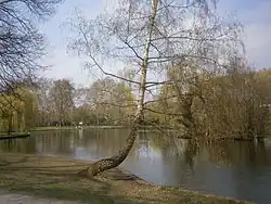 Der Obersee am Südufer vom Hönower Weg aus