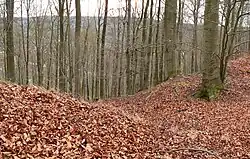 Früherer Torbereich an der Südseite, erkennbar als Einschnitt in den Wallkörper