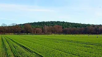 Hünsberg, eine sanfte Kuppe über der Heubachniederung