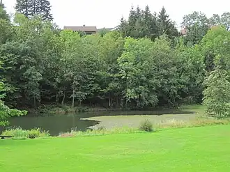 Der Hüttenteich in Lerbach
