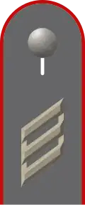 Dienstgradabzeichen eines Hauptgefreiten der Artillerietruppe auf Schulterklappe der Jacke des Dienstanzuges für Heeresuniformträger
