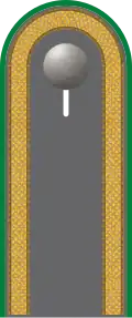 Dienstgradabzeichen auf der Schulterklappe der Jacke des Dienstanzuges für Heeresuniformträger der Panzergrenadiertruppe.