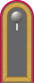 Dienstgradabzeichen auf der Schulterklappe der Jacke des Dienstanzuges für Heeresuniformträger der Panzertruppe.