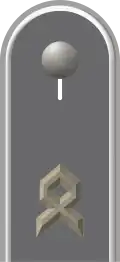 Dienstgradabzeichen eines Oberfähnrichs der Heeresfliegertruppe auf Schulterklappe der Jacke des Dienstanzuges für Heeresuniformträger