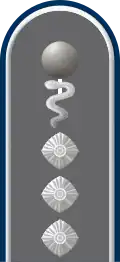 Dienstgradabzeichen auf der Schulterklappe der Jacke des Dienstanzuges für Heeresuniformträger der Sanitätstruppe.