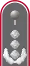 Dienstanzug Oberst i.&nbsp;G. Heeresuniformträger
