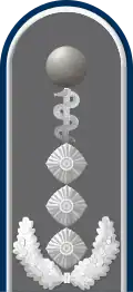 Dienstgradabzeichen auf der Schulterklappe der Jacke des Dienstanzuges für Heeresuniformträger der Sanitätstruppe (Humanmedizin).