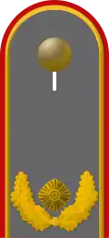 Dienstgradabzeichen eines Brigadegenerals auf dem Schulterstück der Jacke des Dienstanzuges für Heeresuniformträger