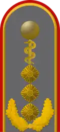 Dienstgradabzeichen eines Generaloberstabsarztes (Approbation für Humanmedizin) auf dem Schulterstück der Jacke des Dienstanzuges für Heeresuniformträger
