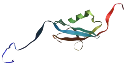 Homo sapiens SMT3 suppressor of mif two 3 homolog 1 (SUMO-Protein)