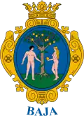 Baja (Ungarn)