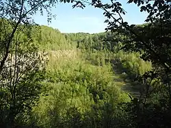 Blick in den ehem. Steinbruch Grube 7