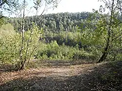 Blick in die Grube 7