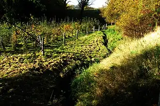 Der Haarbach in seinen Anfängen