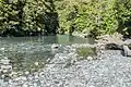 Der Fluss kurz hinter dem Haast Pass/Tioripatea