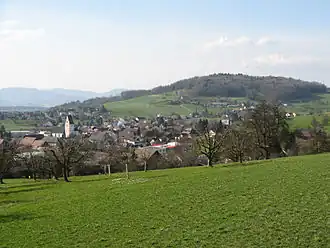 Hägglingen mit dem Maiengrün