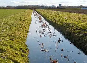 Haferriede bei Gehrden