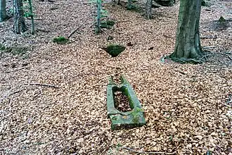 Haidhaldbrunnen am Westhang