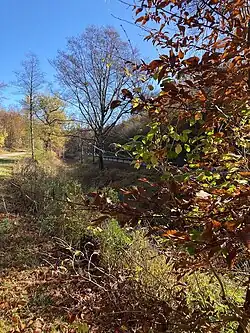 Haintal­graben (2022), nahe L&nbsp;1083