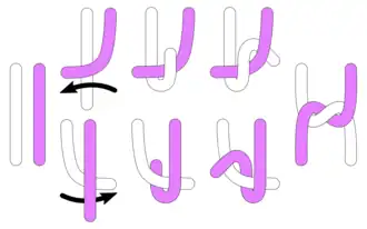 Halber Knoten, von rechts beginnend, Arbeitsfaden oben (die unten gezeigte Alternative führt zum selben Ergebnis)