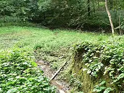 Leerer Eselsteich mit durchstochenem Damm im Jahre 2007