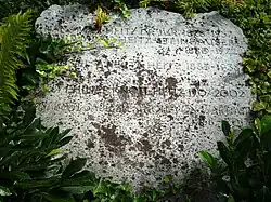 Hans Max Heitz (1878–1957) Jurist, Politiker, Oberst. Willy Philipp Knoll-Heitz (1907–2002). Grab, Friedhof Feldli, St. Gallen