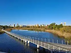 Eine Fußgängerbrücke führt über einen mit Schilf und Bäumen umgebenen See. In der Ferne erstrecken sich die Hochhäuser einer Großstadt.