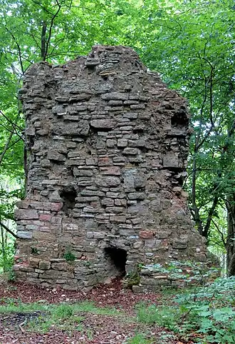 Graf Ernst I. und Graf Ernst II. von Gleichen waren Burgherren auf der Harburg