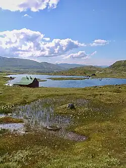 Hardangervidda im Sommer