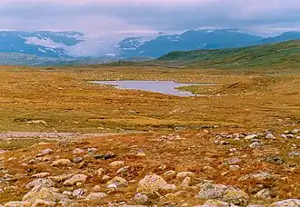 Hardangervidda