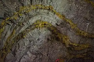 Deutlich sichtbare Gesteinsschichten im Hardtstollen