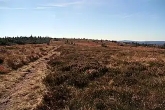 Die „Chaume“ des Gazon du Faing