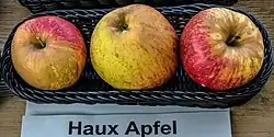 Hauxapfel