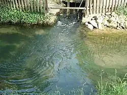 Die obere stark schüttende Quelle