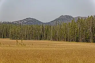 Hedges Peak (links) und Dunraven Peak (rechts)