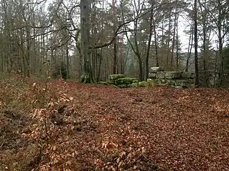Reste der Heidelsburg an der Südflanke