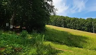 Bikepark Hochberg mit Lift (2020)