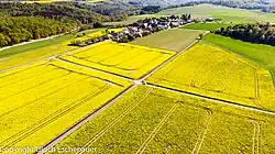 Heidenrod-Hilgenroth Luftbild