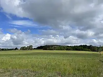 Weinberg bei Gräbendorf