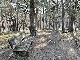 Streitberg mit Sator-Quadrat auf Findling