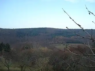 Der Gipfel des Heidkopfes vom Nachbarberg über den Teufelsgrund, von Südosten gesehen