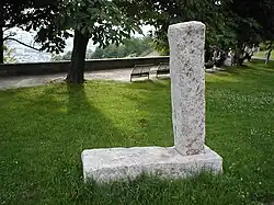 Corpus, Arm von Michael Schoenholtz