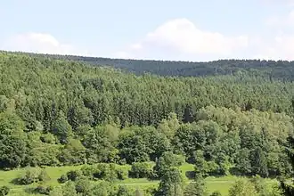 Der Heiligenküppel (Gipfel etwa Bildmitte)