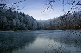 Heinitzer Weiher (2007)