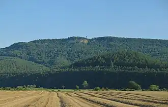 Der Heldrastein von Norden