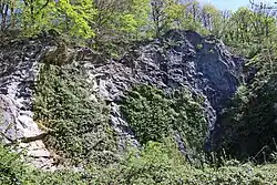 Die Von-der-Becke-Höhle, auch „Alte Höhle am Perick“ genannt, Teil des Perick-Höhlensystems bei Hemer; wie ein Steinbruch wirkende Wand, stark mit Vegetation überwachsen und mit einem kaum zu erkennenden Höhleneingang