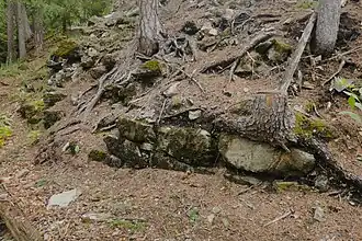 Südwestecke des Turmhauses