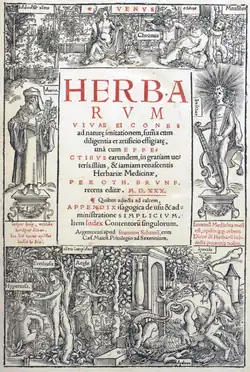Band 1: Herbarum vivae eicones (1630)