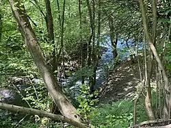 Herbringhauser Bach mündet in die Wupper – Endpunkt des NSG